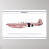 Spitfire GB 16 Sqn 2 Poster (Voorkant)