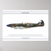 Spitfire GB 17 Sqn 1 Poster (Voorkant)
