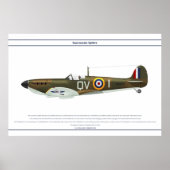 Spitfire GB 19 Sqn 1 Poster (Voorkant)