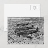 Spitfire jagers boven Afrika, 1943 Briefkaart (Voorkant / Achterkant)