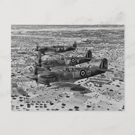 Spitfire jagers boven Afrika, 1943 Briefkaart (Voorkant)