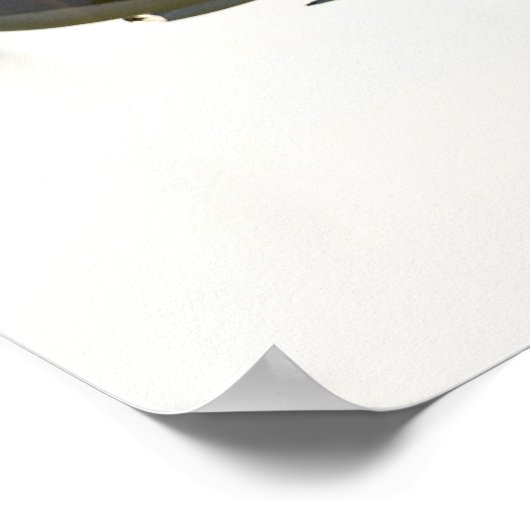 Spitfire-MH-434 Poster (Hoek)