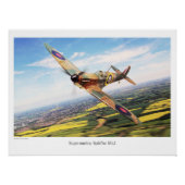Spitfire Perfect Poster (Voorkant)
