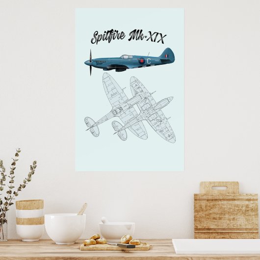 Spitfire XIX (Mk 19) Poster (Keuken)