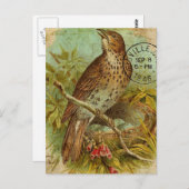  spits briefkaart (Voorkant / Achterkant)