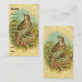 spits visitekaartje (Voorkant / Achterkant)