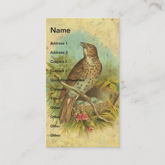  spits visitekaartje (Voorkant)