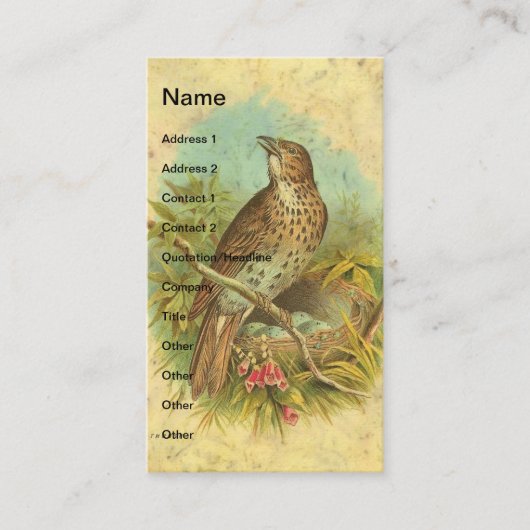 spits visitekaartje (Voorkant)