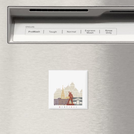 Spitssnuitkever Magneet (Insitu (Vaatwasser))