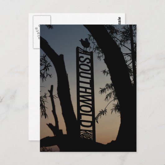 Spitssnuitslangenarend Briefkaart (Voorkant / Achterkant)