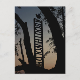 Spitssnuitslangenarend Briefkaart