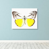 Spitssnuitsnavelhaai Canvas Afdruk (Insitu (Houten vloer))