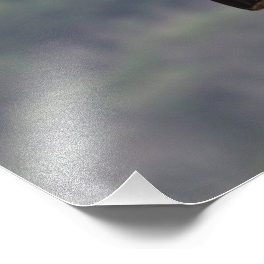 Spitsspees Foto Afdruk (Hoek)