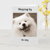 SPITZ NEEMT VRIJ VAN ZIJN TAKEN VOOR VERJAARDAG KAART (Gele Bloem)