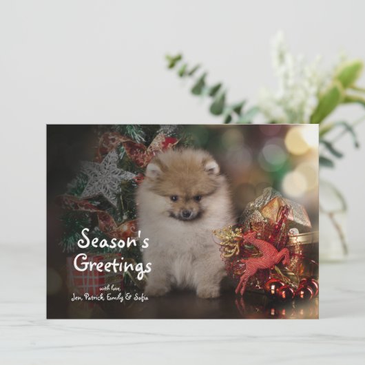 Spitz van Pomeranian, het Puppy van Kerstmis Feestdagenkaart (Staand voorkant)