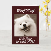 SPITZ WENST JE EEN "ZEER GELUKKIGE VERJAARDAG" KAART (Gele Bloem)