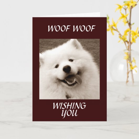 SPITZ WENST U *GEFELICITEERD MET UW AFSTUDEREN* KAART (Gele Bloem)