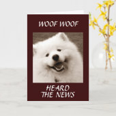 SPITZ ZEGT *CONGRATS OVER UW NIEUWE MOGELIJKHEID* KAART (Gele Bloem)