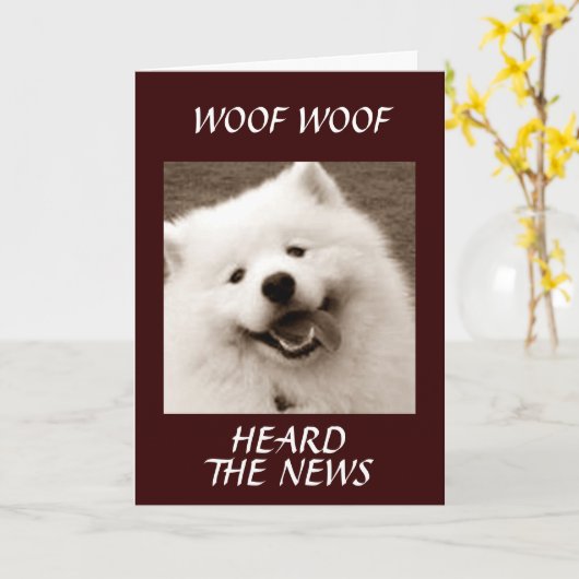 SPITZ ZEGT *CONGRATS OVER UW NIEUWE MOGELIJKHEID* KAART (Gele Bloem)