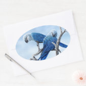 Spix ara. De blauwe papegaai van de film Rio. Ovale Sticker (Envelop)