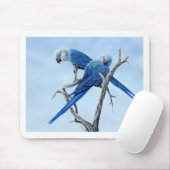 Spix Macaw cadeaus voor de Spix lover Muismat (Met muis)