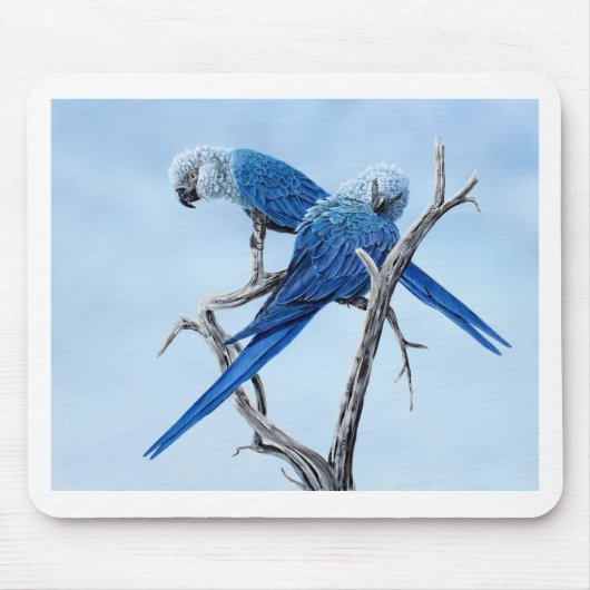 Spix Macaw cadeaus voor de Spix lover Muismat (Voorkant)