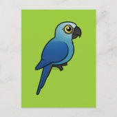 Spix's Macaw Briefkaart (Voorkant)