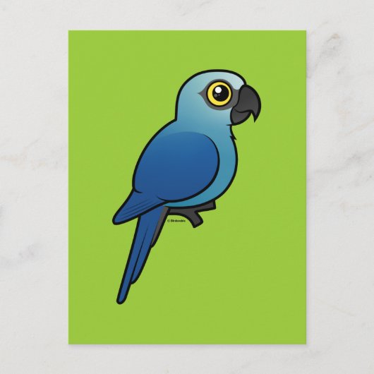 Spix's Macaw Briefkaart (Voorkant)