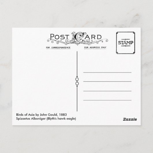 Spizaetus Alboniger (Blyth's hawk-eagle) Briefkaart (Achterkant)