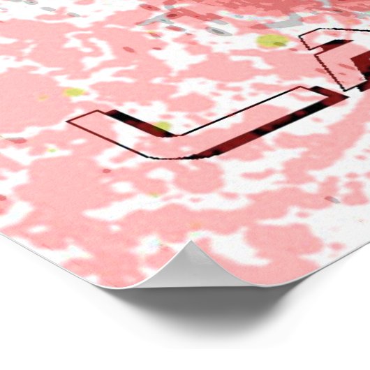 splaatstlacrosse poster (Hoek)