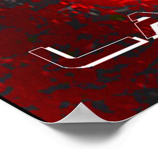 splaatstlacrosse poster (Hoek)