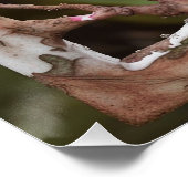 SPLASH FESTIVAL PERFECT POSTER (Hoek)