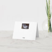 Splash Kaart (Achterkant)