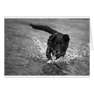 splash maken