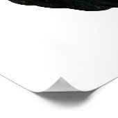 Splash Muffed Tumbler Pigeon 2 Poster (Hoek)