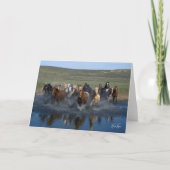 Splash! notitiekaart (Voorkant)