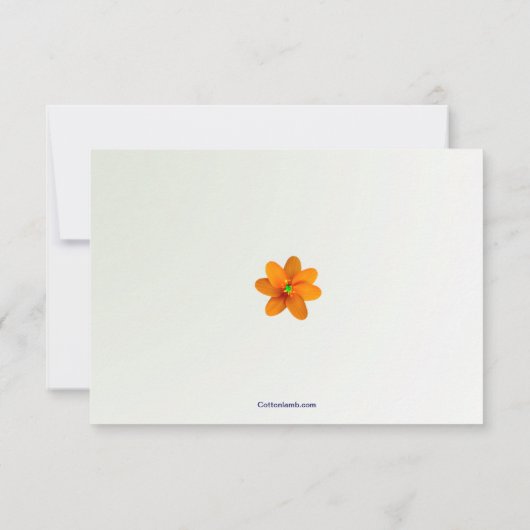 Splash of Color Response Card RSVP Kaartje (Achterkant)