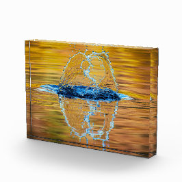 Splash op een herfst avond fotoblokken