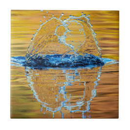 Splash op een herfst avond tegeltje