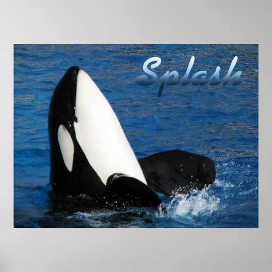 Splash Poster (Voorkant)