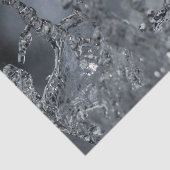 Splash Tissuepapier (Detail)