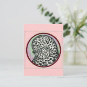 Splash Tumbler Pigeon Circle Briefkaart (Staand voorkant)