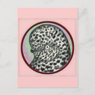 Splash Tumbler Pigeon Circle Briefkaart