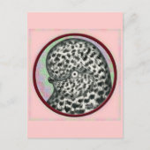 Splash Tumbler Pigeon Circle Briefkaart (Voorkant)