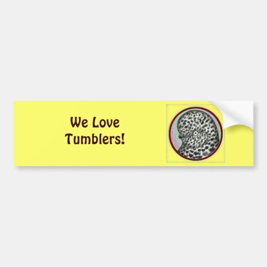 Splash Tumbler Pigeon Circle Bumpersticker (Voorkant)