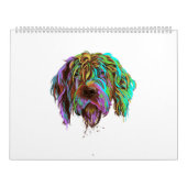 Splash Wirehaired Pointing Griffon Dog Kalender (Hoes)