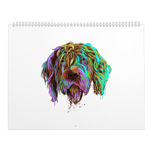 Splash Wirehaired Pointing Griffon Dog Kalender (Hoes)