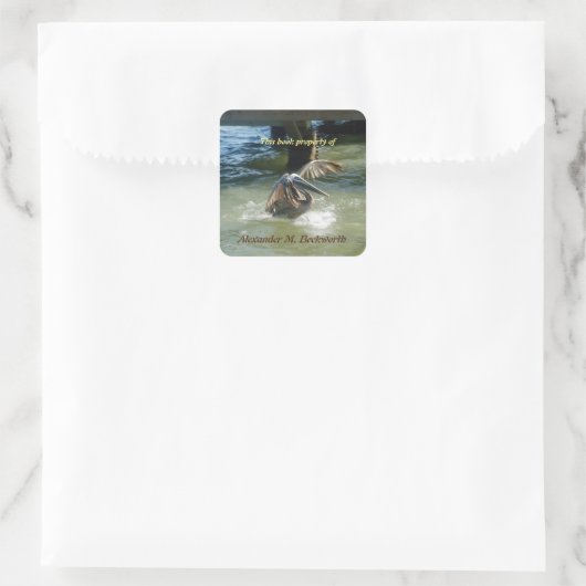 Splashdown gepersonaliseerde boekenplaat vierkante sticker (Tas)