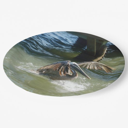 Splashdown Papieren Bordje (Gekanteld)