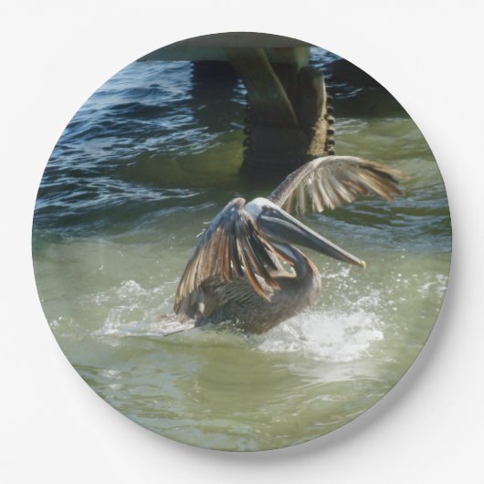 Splashdown Papieren Bordje (Voorkant)